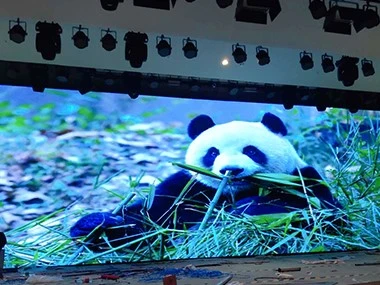 case3
